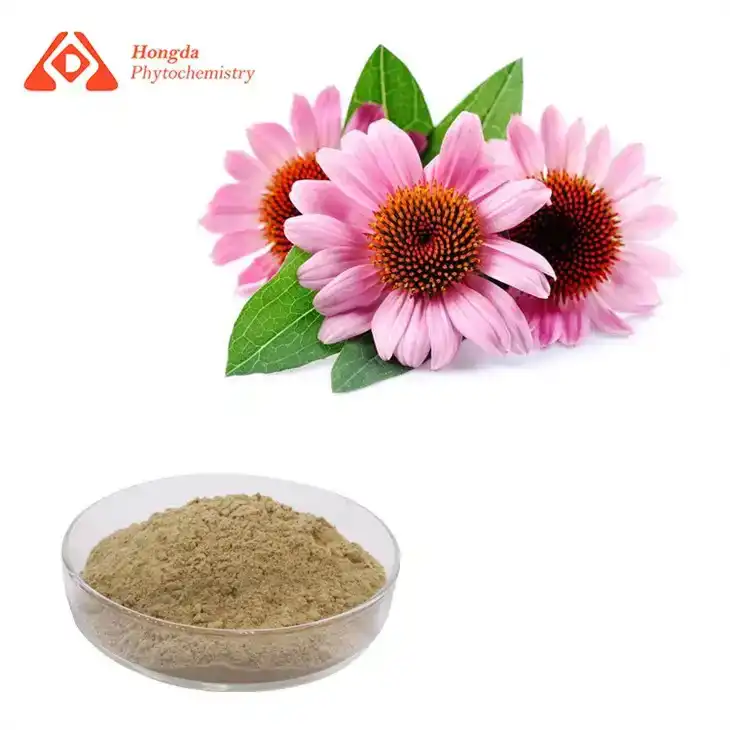 Echinacea Extract Powder Echinacea Extract Powder